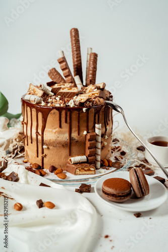 Chocolate cake decorated with various cookies and nuts on a glass plate and macaroons. Food photography. Advertising and commercial close up design.