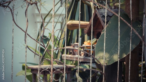 A small bird house behind steel railing