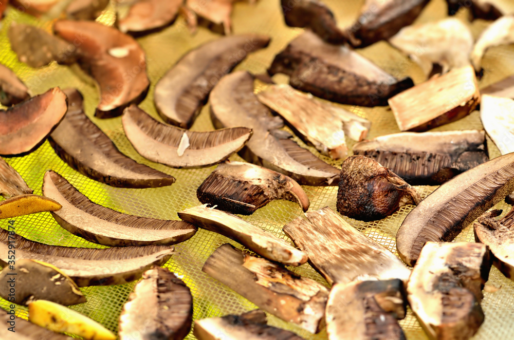 Chopped mushrooms ready for drying. Close-up. Chopped mushrooms ready for drying. Close-up.