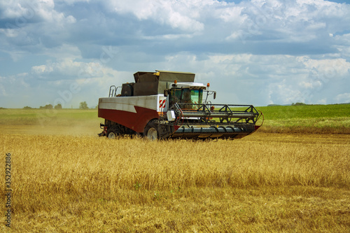 Agricultural machine combine moves along the field with ripe grain crops wheat rye barley
