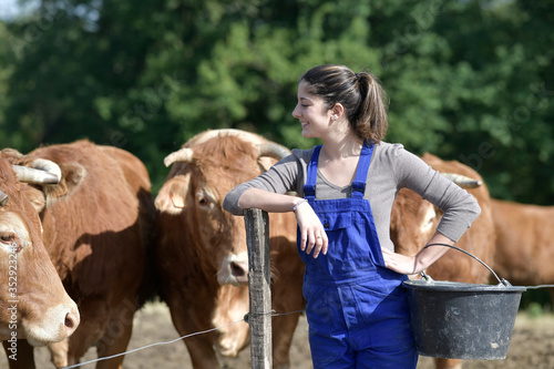 Farmer apprentice feeding cattle in barnyard