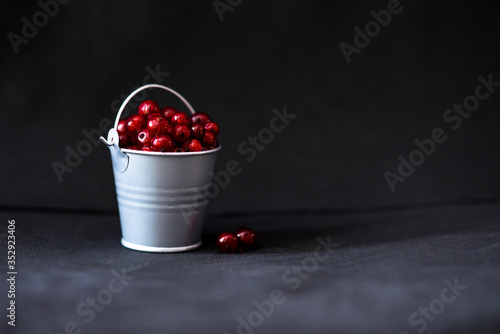 red currants in a bucket on a dark background
