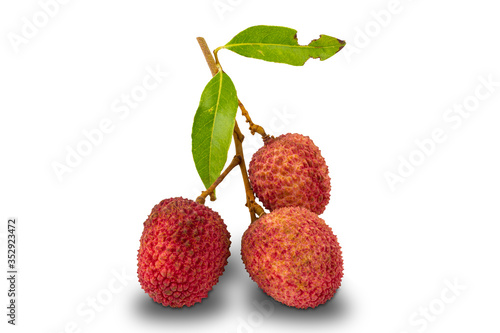 Group of lychee , litchi chinensis, with leaves on white background with clipping path
