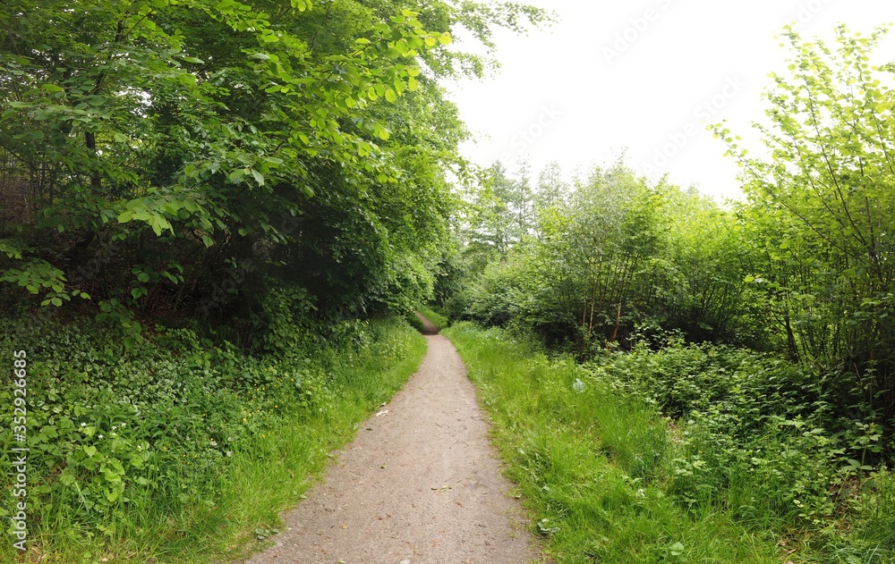 Obraz premium panoramic Environment freshness at village with clouds and natural elements around