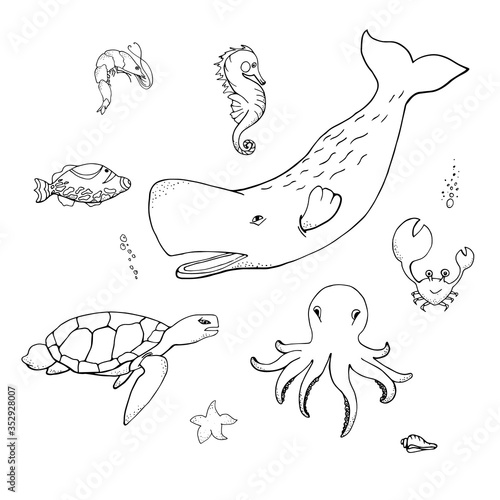 Ocean animals set: sperm whale, sea turtle, octopus, crab, seahorse, coral fish, shrimp, starfish  in doodle style isolated on white background. Silhouettes Marine fauna. Vector outline illustration.