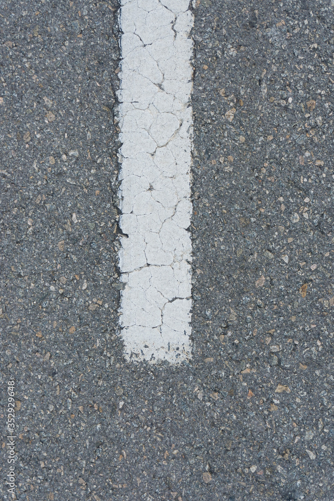 Fototapeta premium Street concrete with a white car line signal in the middle. Concrete street for background.