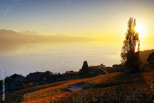 Sunset light over Leman Lake  Switzerland  Europe