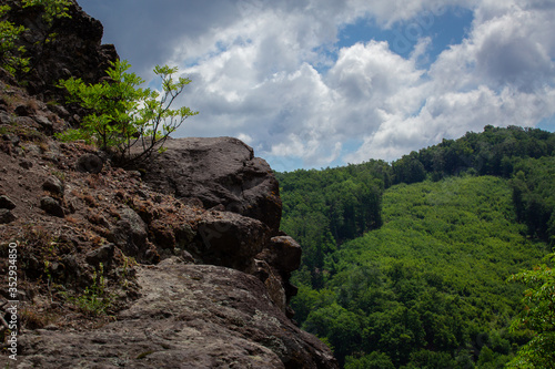Landscape view at the top of the wooden forest covered valley, surrounded by green bushes, leaves and ferns found in Rám-Szakadék, Pilis, Hungary