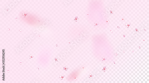 Nice Sakura Blossom Isolated Vector. Pastel Blowing 3d Petals Wedding Design. Japanese Funky Flowers Illustration. Valentine, Mother's Day Watercolor Nice Sakura Blossom Isolated on Rose
