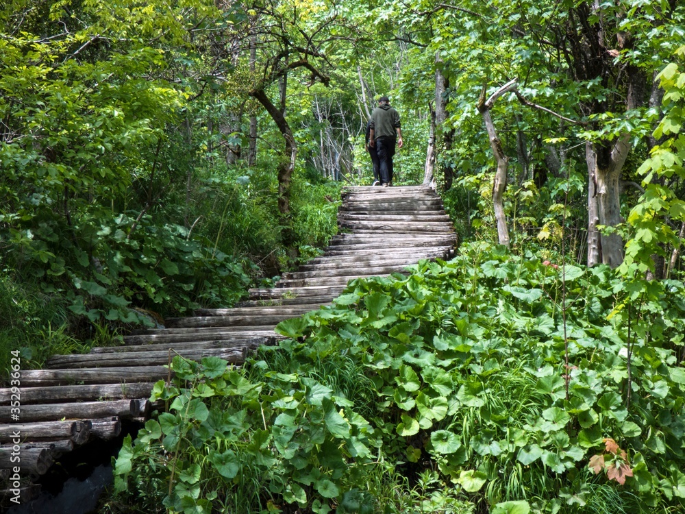 Obraz premium national park