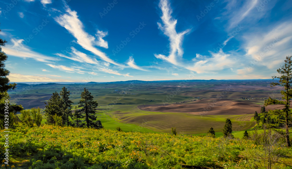 Kamiak Butte