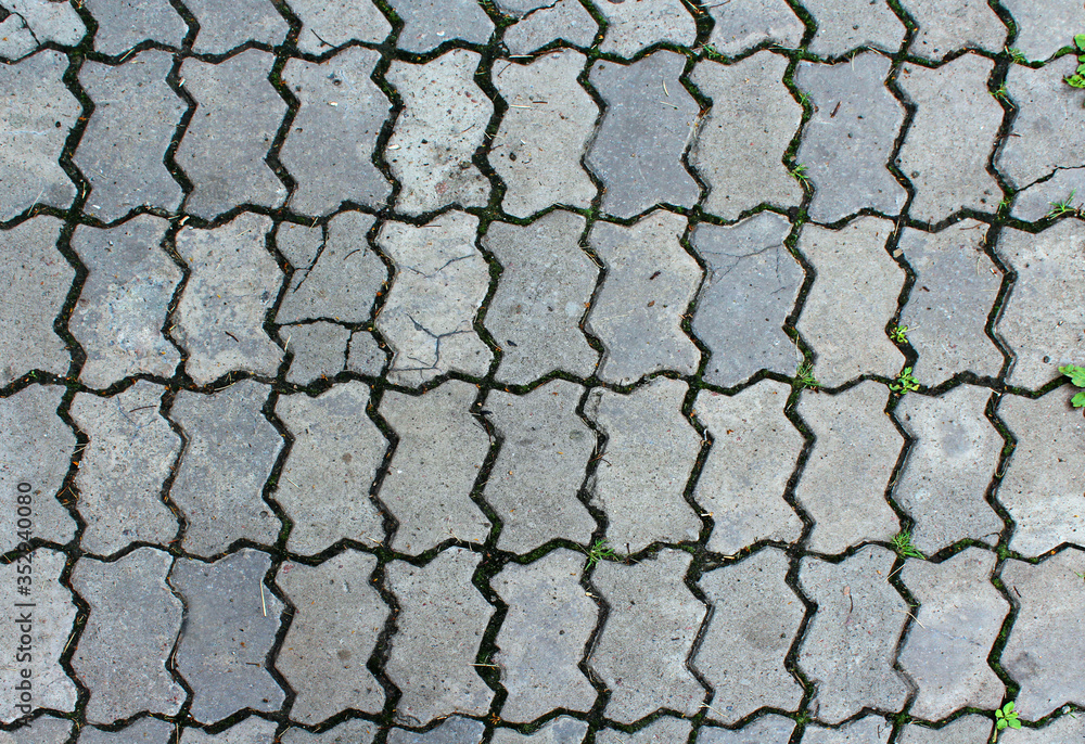 Obraz premium Simple pfoto image.