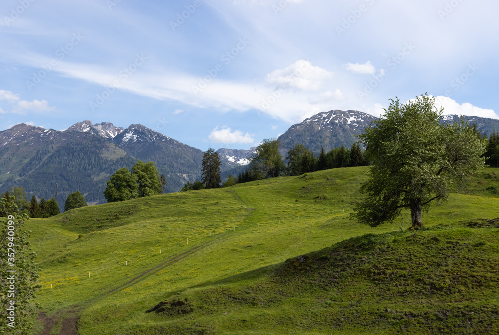 Ein wunderschöner Frühlingswandertag im Salzburger Land