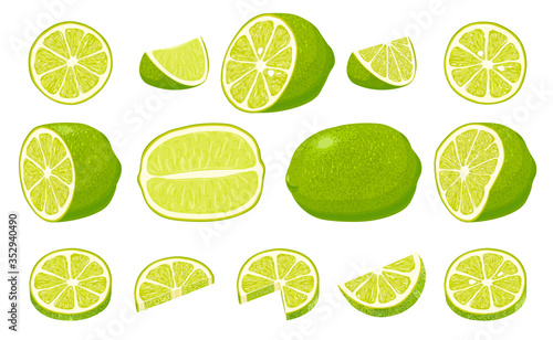 Fresh limes with leaves. Collection of different lime views.