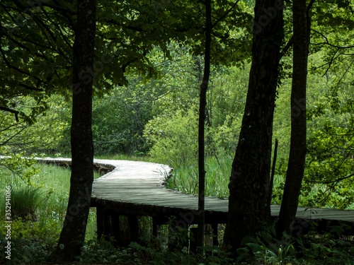 national park © Bojan Bonifacic