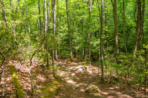 Rocky downhill path through the woods at the Case Mountain Recreational Area in Manchester  CT