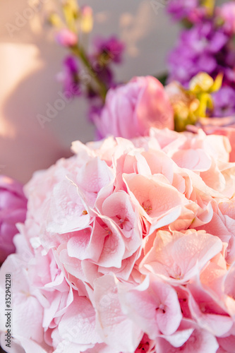 Beautiful pink hydrangea flower close up. Artistic natural background. flower in bloom in spring and summer. Designer flower bouquet from a florist. Beautiful blossoming flower  wedding bouquet.