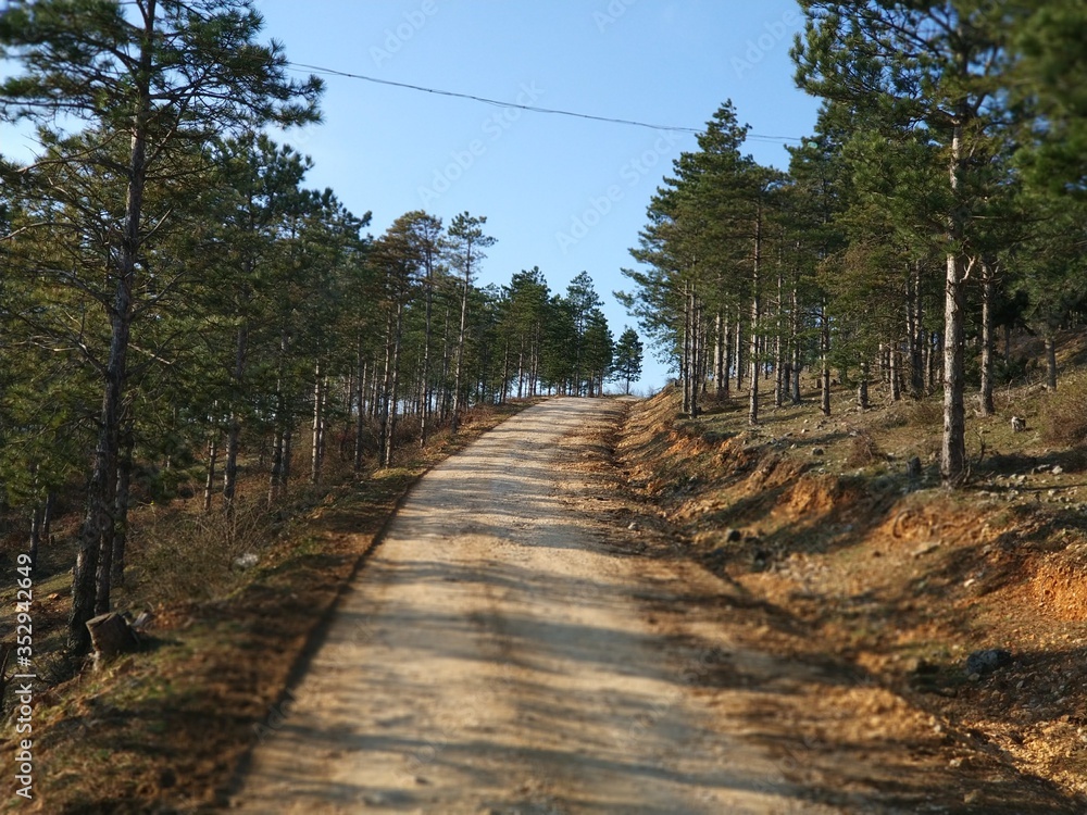 Fototapeta premium road