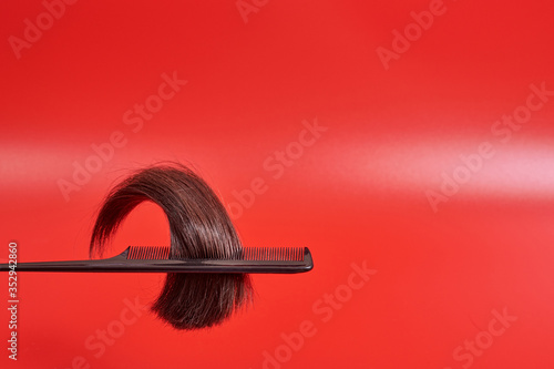 a lock of glossy brown hair on a red background, along with a comb. the tip of the thick hair in the teeth of the comb hangs in the air