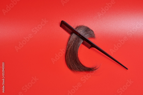 a tuft of hair in a curving tip to the bottom. a lock of brown glossy hair in the teeth of a comb lies against a red background
