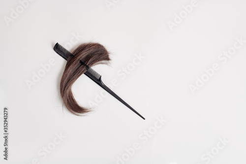 a lock of beautiful glossy brown hair lies in a comb between the teeth on a light gray background. a tuft of hair and a comb crosswise on a white background