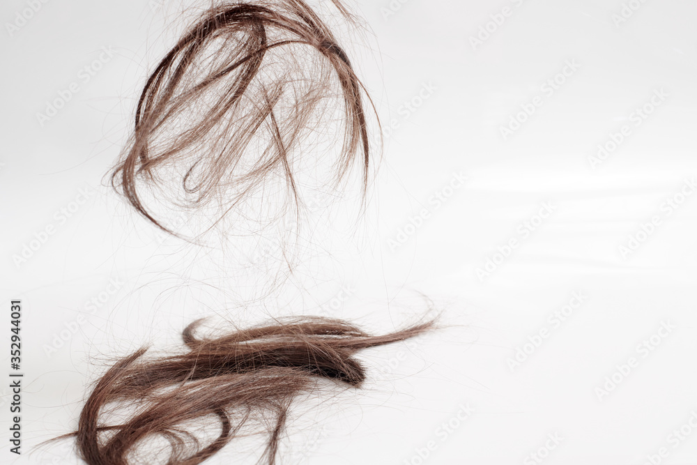 hair is beautifully sprinkled in parts on a white background. brown hair after cutting falls down