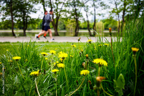 Two men out of focus run along the lake embankment against a background of yellow dandelions
