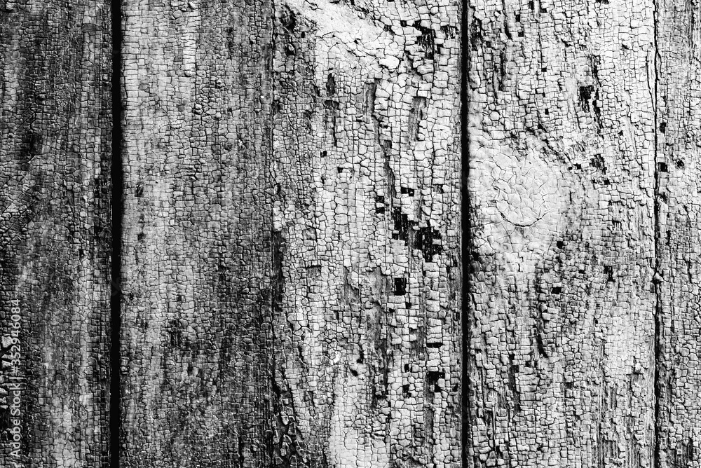 Texture, wood, wall, it can be used as a background. Wooden texture with scratches and cracks Texture, wood, wall, it can be used as a background. Wooden texture with scratches and cracks