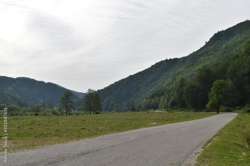 Fototapeta premium road in mountains