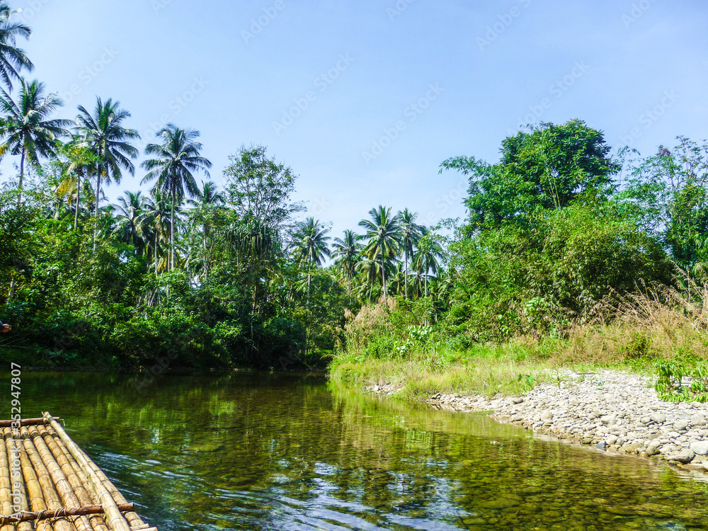 Forest river with palm trees along the banks on a sunny day. Forest river with palm trees along the banks on a sunny day.