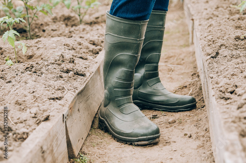 farmer in rubber boots is standing in the garden, only legs in boots are photographed