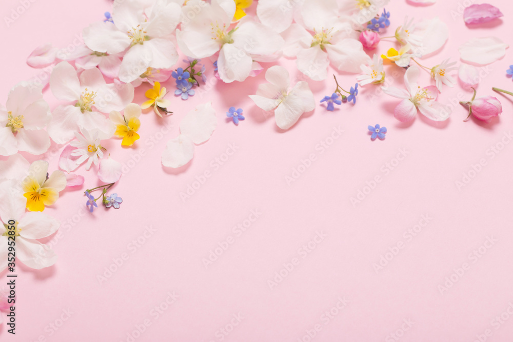 Fototapeta premium spring flowers on pink background