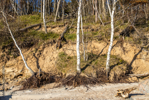 Baltic sea coast near Klaipeda/ Lithuania. The area is known as the Dutch Hat because of the dunes formed in a similar shape as old style Dutch cap.