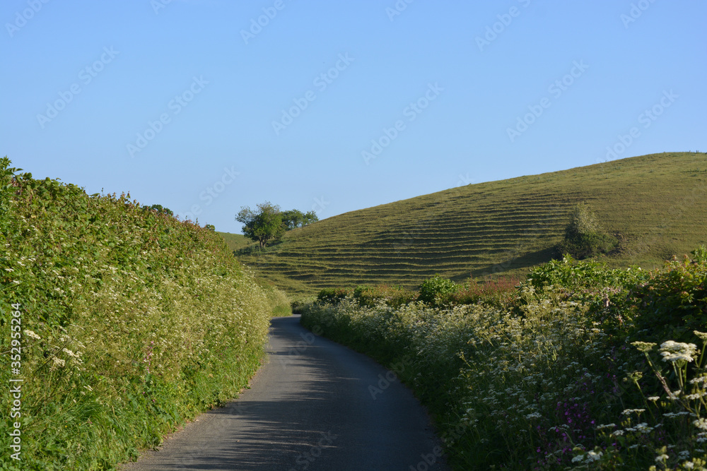 road in the countryside, Dorset, England