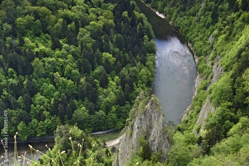 Dunajec w Pienińskim Parku Narodowym  photo