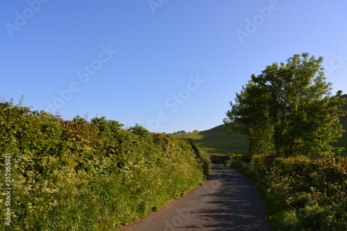 Summer landscape and empty lane, Dorset, England 