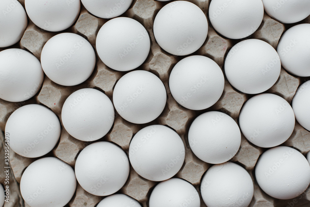 Tray of white fresh eggs close-up on a cardboard form. Agricultural industry Tray of white fresh eggs close-up on a cardboard form. Agricultural industry