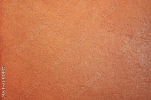 Wallpaper Mural Brown vintage leather texture background, genuine leather. Top view                               Torontodigital.ca