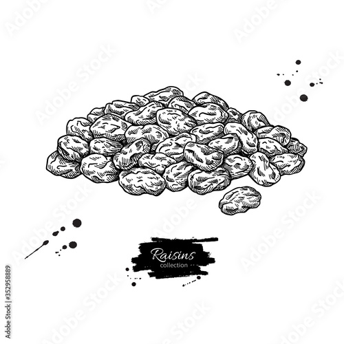 Raisins vector drawing. Dried grape heap. Hand drawn dehydrated fruit illustration.