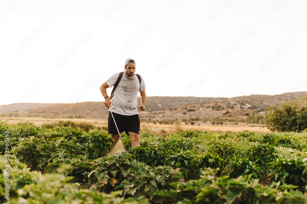 Fototapeta premium Farmer man spraying organic herbicide on the crop