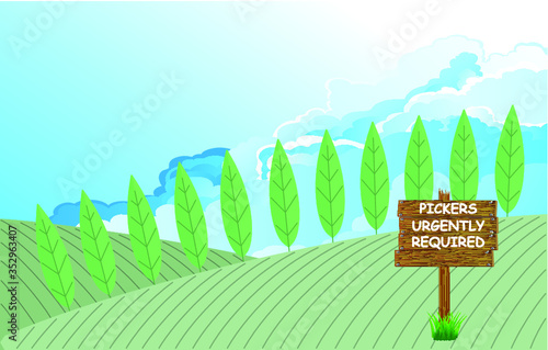 Sign on farm urgently advertising for seasonal fruit and vegetable pickers due to the restriction of migrant workers from abroad due to the world wide pandemic