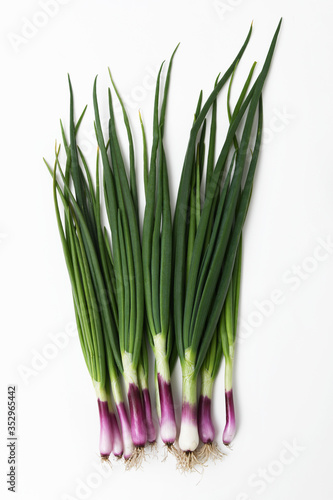 red spring onions white background