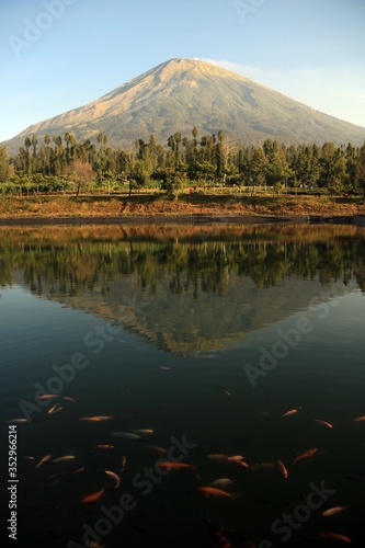 Mt Sindoro reflection on the lake