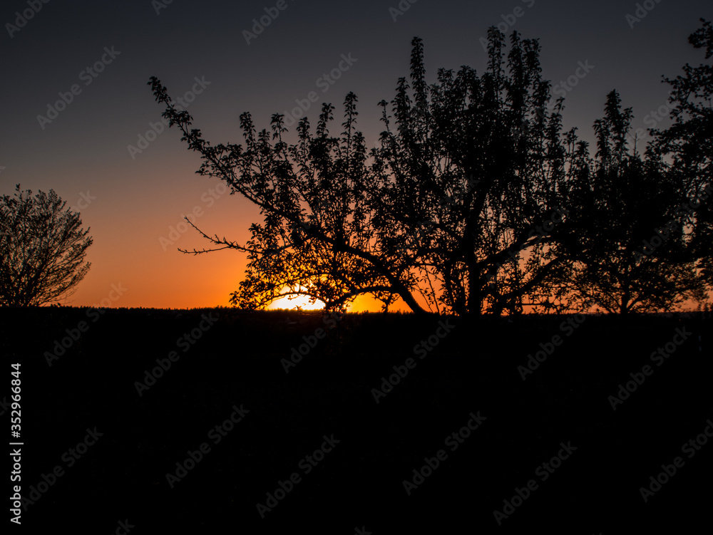 Fantastic red sunset behind a silhouette tree Fantastic red sunset behind a silhouette tree