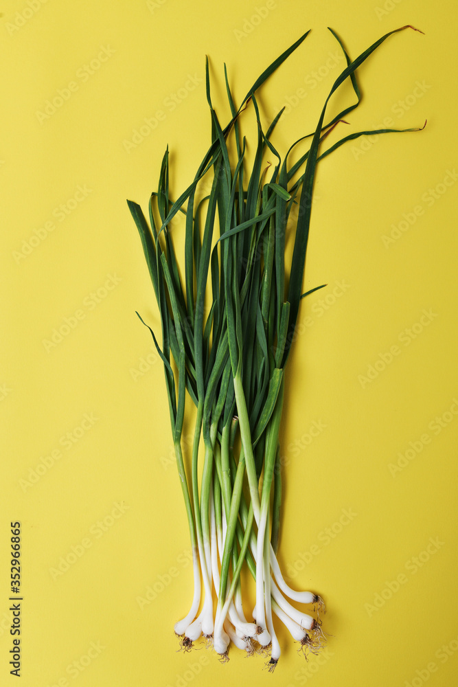 fresh green garlic - close up