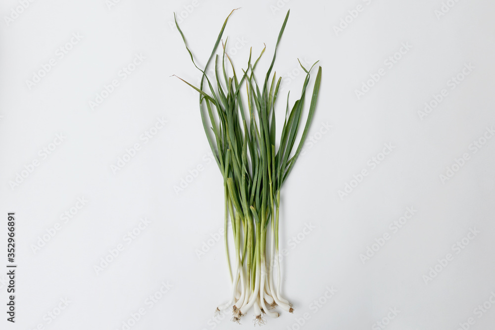 fresh green garlic - close up