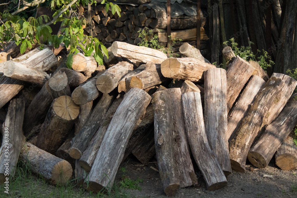 Pile of logs close-up in the countryside. Harvesting firewood for the winter for the bath. Dry round logs with cracks Pile of logs close-up in the countryside. Harvesting firewood for the winter for the bath. Dry round logs with cracks
