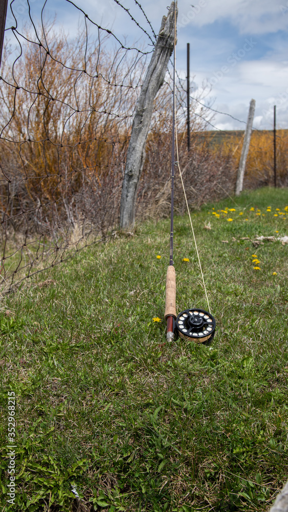 A fly Rod leaning against a log in the grass. A fly Rod leaning against a log in the grass.