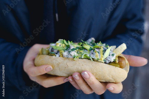 vegetarian hot dog in female hands