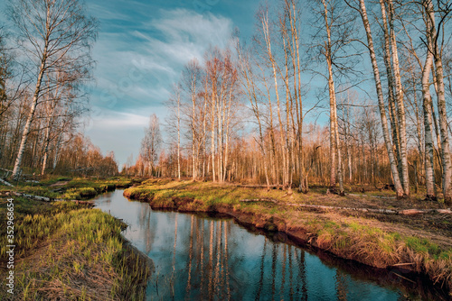 River in the forest in spring. Lepsari river, Leningrad region.